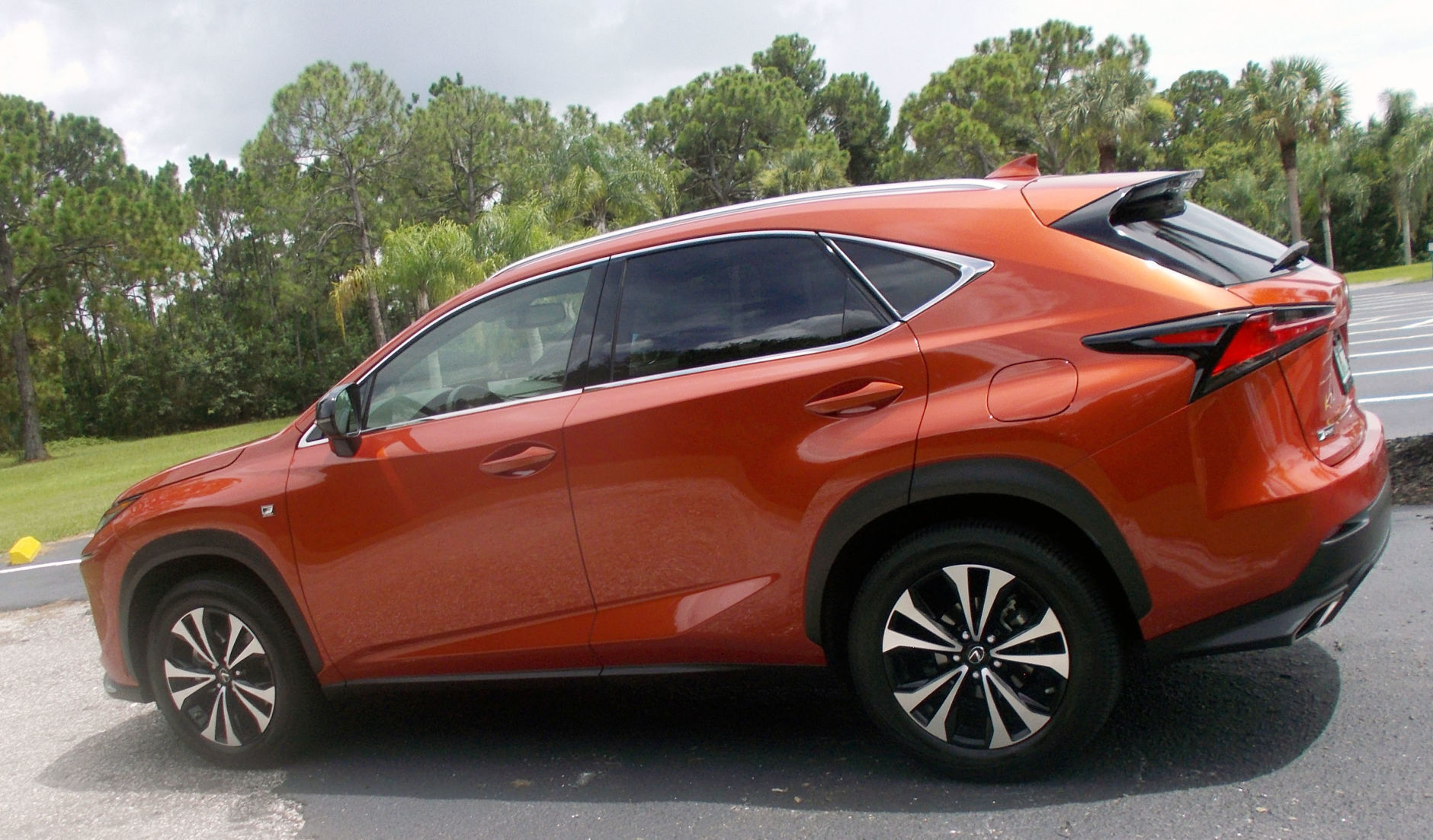 2020 Lexus NX 300 F Sport driver side.jpg
